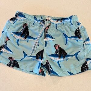 MC2 Saint Barth Navy Swim Shorts